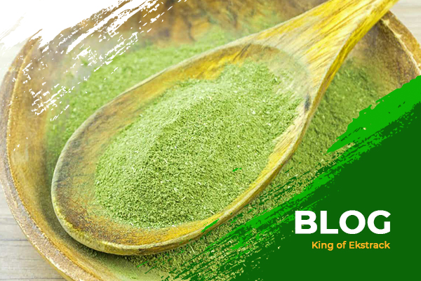 artikel2-kratomekstrack