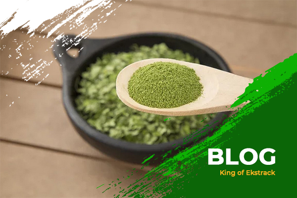 artikel4-kratomekstrack